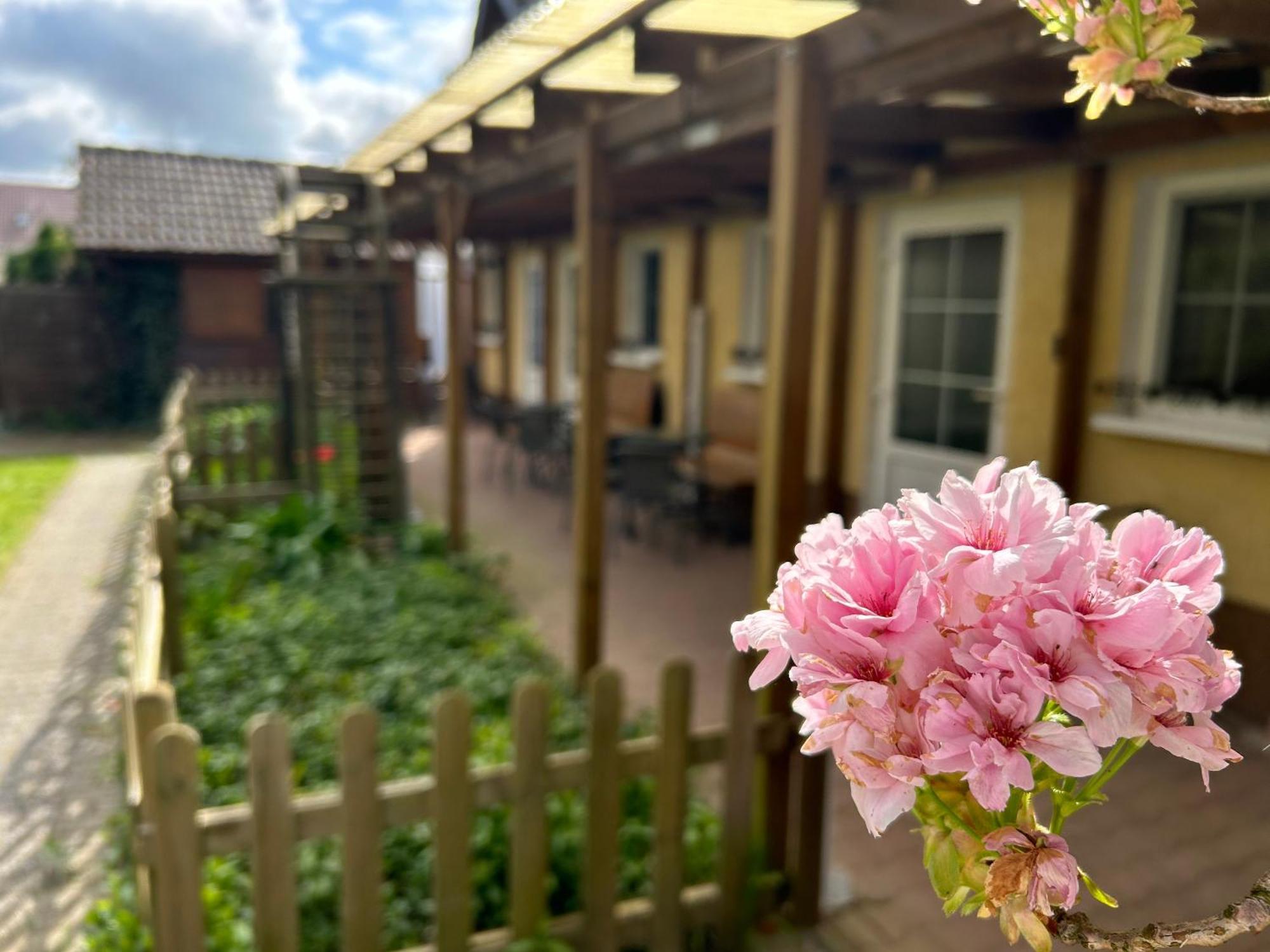Gemuetliche Wohnung Landlust In See-Naehe Tauche Esterno foto